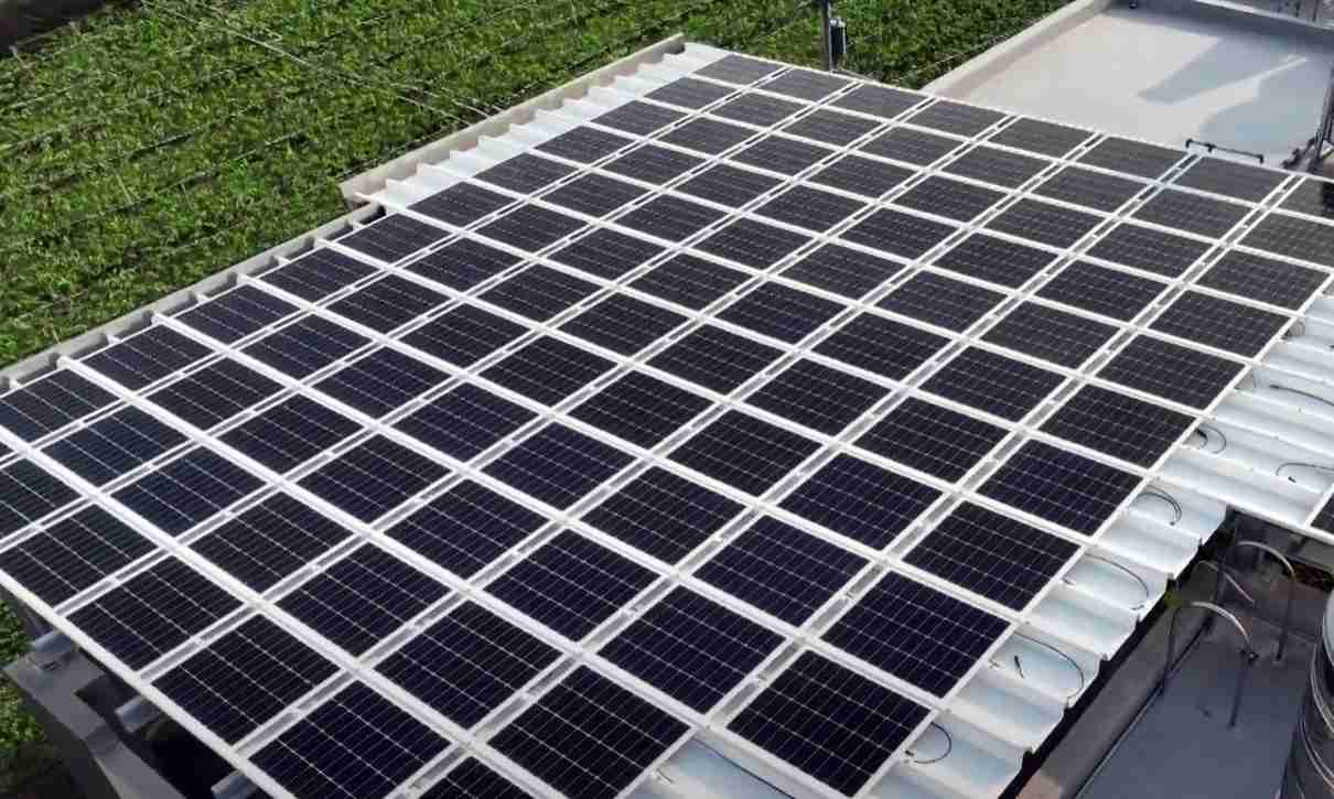 彩霸王SunSteel光电浪板升级双玻结构，，以提升机械负载强度及气候耐候度，，，，可广泛运用于多元场域